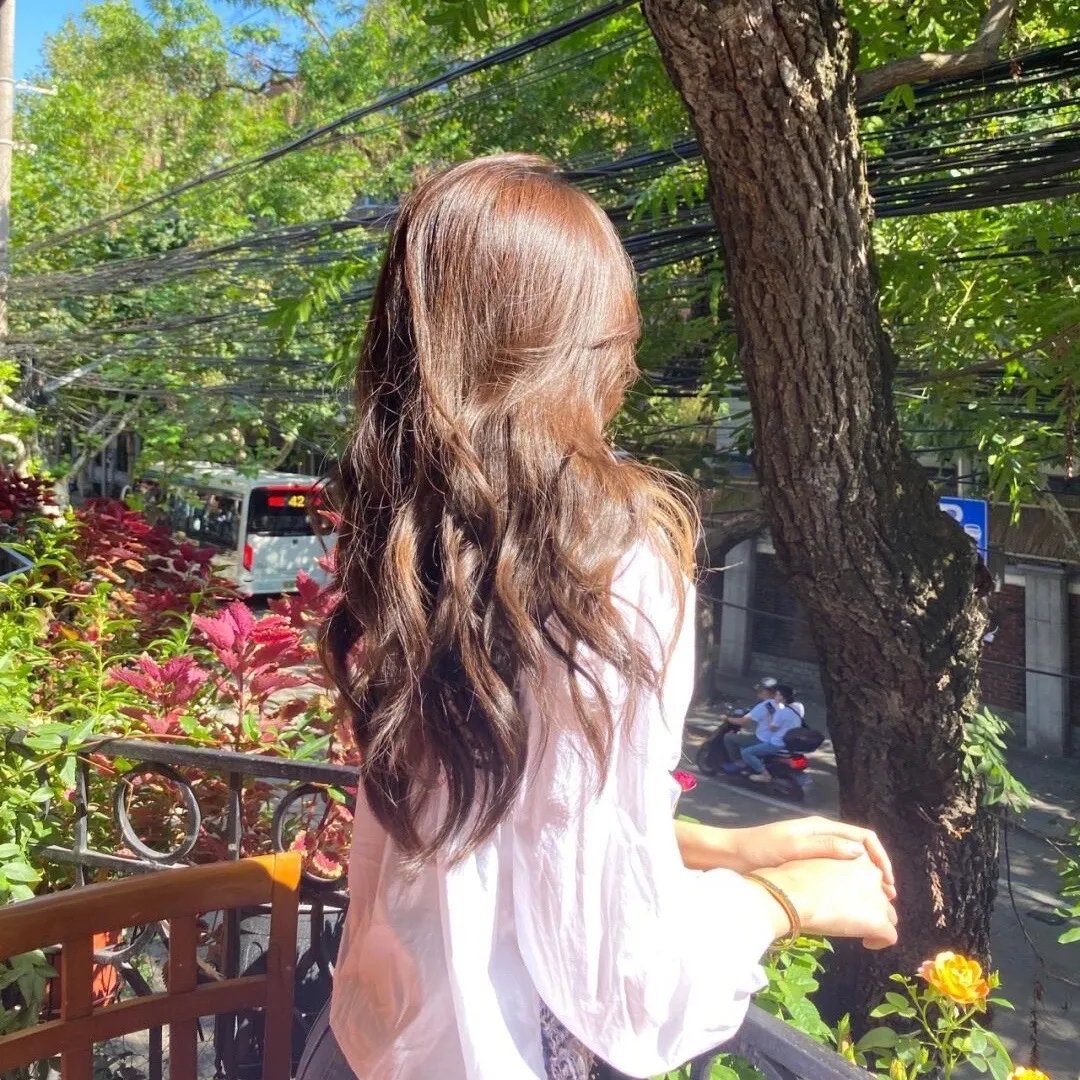 鲁冰花