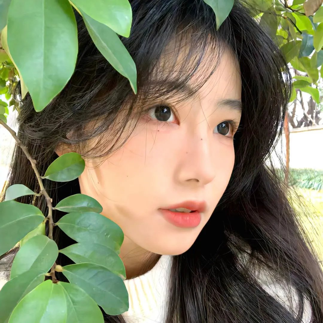 漂浪人生